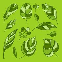 Main dessin plat vert feuilles Clipart Set Vector