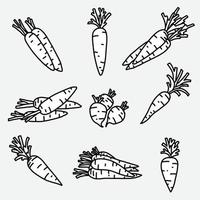 doodle dessin à main levée de la collection de légumes carottes. vecteur