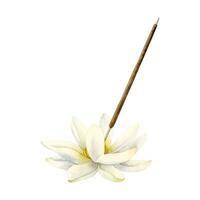 lotus fleur arôme bâton supporter aquarelle esquisser vecteur