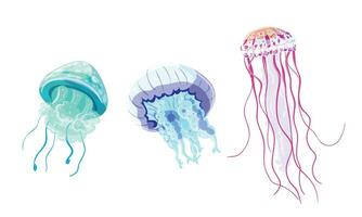 vecteur Créatif différent méduses plat ensemble
