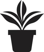 flore fleurir logo vecteur icône biologique oasis plante emblème conception