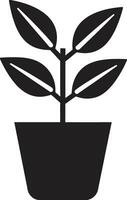 botanique équilibre plante logo conception jardin croissance emblématique plante icône vecteur