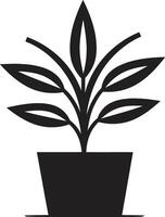 verdure gloire emblématique plante icône flore fleurir logo vecteur icône