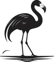 fuchsia à plumes flamant oiseau emblème icône rougir beauté flamant logo vecteur illustration