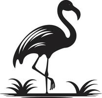 tropical élégance oiseau emblème vecteur conception corail flair flamant icône logo conception