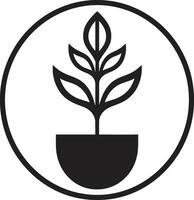 verdure gloire plante logo conception flore fleurir plante iconique emblème vecteur