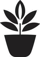 botanique beauté plante emblème conception à feuilles persistantes élégance iconique plante vecteur