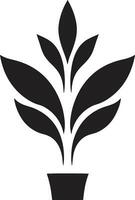 feuillu héritage iconique plante vecteur luxuriant la vie plante logo conception