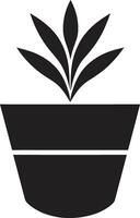 biologique oasis plante logo conception feuillu héritage emblématique plante icône vecteur