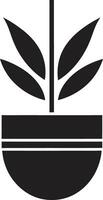 biologique oasis logo vecteur icône feuillu héritage plante emblème conception