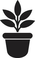 verdure gloire iconique plante vecteur flore fleurir plante logo conception
