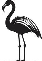rougir beauté flamant logo vecteur symbole radiant côte flamant oiseau emblème vecteur