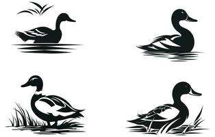 Canada OIE silhouette conception, troupeau de en volant canards silhouette vecteur
