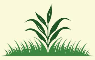 blé plantation. vecteur illustration de sucré blé pousse dans champ