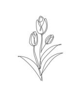 une seule ligne de dessin illustration vectorielle de beauté tulipe fleur. style floral tropical minimal, concept romantique d'amour pour affiche, impression de décoration murale. conception de dessin graphique en ligne continue moderne vecteur
