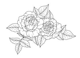 Rose ligne dessin. noir et blanc floral bouquets. fleur coloration page. floral ligne art. bien ligne Rose fleur illustration. main tiré fleurs. botanique coloration. mariage invitation fleurs vecteur