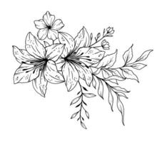 fleurs sauvages ligne dessin. noir et blanc floral bouquets. fleur coloration page. floral ligne art. bien ligne fleurs sauvages illustration. main tiré fleurs. botanique coloration. mariage invitation fleurs vecteur