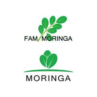 moringa logo vecteur modèle symbole la nature