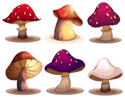 Un ensemble de champignons colorés vecteur