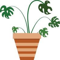 fleur pot illustration avec tropical et cactus conception pour conception vecteur