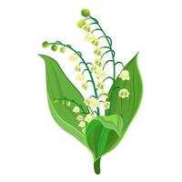 muguet vecteur