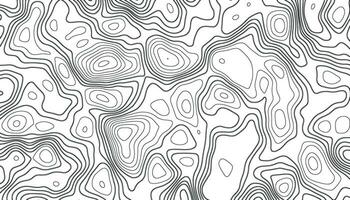 Contexte de le topographique carte. élévation contournage contour cartographie texture. géographique abstrait grille. futuriste filaire paysage Contexte. noir et blanc sans couture modèle vecteur