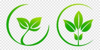 vert feuilles sur isolé arrière-plan, pour logos, conceptions, pour le symbolisme de le vert planète. logo modèle, santé nourriture icône, biologique légume jardin. respectueux de la nature croissance. vecteur illustration