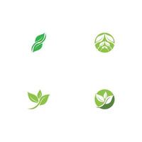 logos de l'écologie des feuilles d'arbre vert vecteur