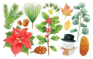 plantes de noël éléments de décoration illustrations styles aquarelle vecteur