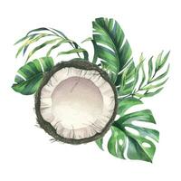 noix de coco ensemble, moitiés et pièces avec brillant, vert, tropical paume feuilles. main tiré aquarelle illustration. préfabriqué composition isolé de le Contexte vecteur