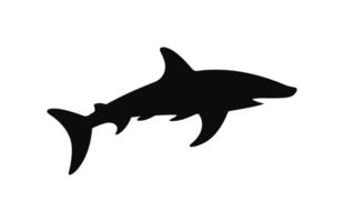 une marteau requin silhouette vecteur isolé sur une blanc Contexte