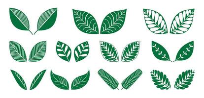 tropical biologique feuilles silhouette icône ensemble collection. vecteur