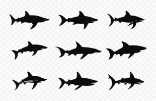 marteau requin noir silhouette ensemble, marteau les requins silhouettes vecteur