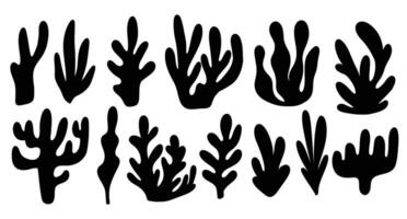 algue ensemble dans silhouette style. collection de coloré sous-marin les plantes. plat style. vecteur illustration.