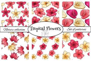 motif tropical avec des fleurs de plantes exotiques et des feuilles en style cartoon vecteur