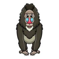 mignonne mandrill babouin dessin animé sur blanc Contexte vecteur