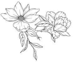 magnolia ligne dessin. noir et blanc floral bouquets. fleur coloration page. floral ligne art. bien ligne magnolia illustration. main tiré fleurs. botanique coloration. mariage invitation fleurs vecteur