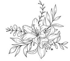 lis ligne dessin. noir et blanc floral bouquets. fleur coloration page. floral ligne art. bien ligne fleurs de lys illustration. main tiré fleurs. botanique coloration. mariage invitation fleurs vecteur