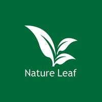 vert feuille la nature plante conceptuel symbole vecteur illustration