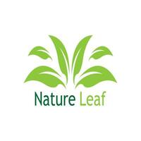 vert feuille la nature plante conceptuel symbole vecteur illustration