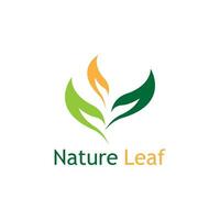 vert feuille la nature plante conceptuel symbole vecteur illustration