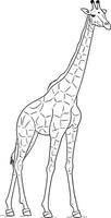 girafe coloration livre pour adultes vecteur illustration. anti stress coloration pour adulte. zentangle style. noir et blanc lignes. dentelle modèle. ai généré illustration.