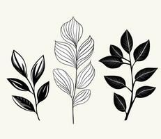 monochrome les plantes. feuilles, branches, floral éléments ensemble. contour botanique illustration. main tiré isolé les plantes. vecteur