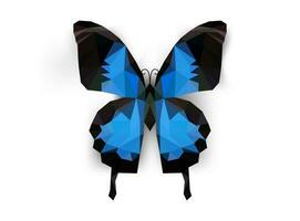 bleu et noir Couleur polygonal papillon conception vecteur