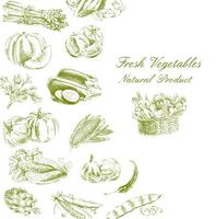 illustration vectorielle dessinée à la main avec des légumes. un croquis dans un style vintage. vecteur