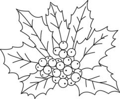 griffonnage simple, mignonne dessiné à la main houx modèle, le houx conception utilisé décorer Noël cartes, faire-part, couronnes de fleurs. magnifique houx feuilles et baies. vecteur