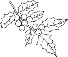 griffonnage simple, mignonne dessiné à la main houx modèle, le houx conception utilisé décorer Noël cartes, faire-part, couronnes de fleurs. magnifique houx feuilles et baies. vecteur