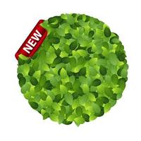 label écologique vert de feuilles vertes. illustration vectorielle. vecteur