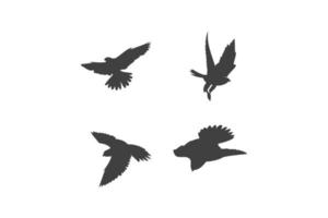 modèle de conception de logo de faucon, illustration de l'icône vecteur