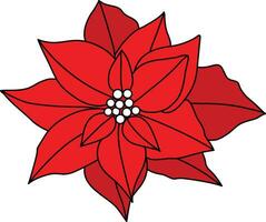 Noël étoile rouge Couleur avec Facile lignes est utilisé à complément Noël oeuvres d'art. poinsettia, avec tous les deux fleurs et feuilles tiré comme une floral arrangement, est mis dans une pot pour Noël vecteur